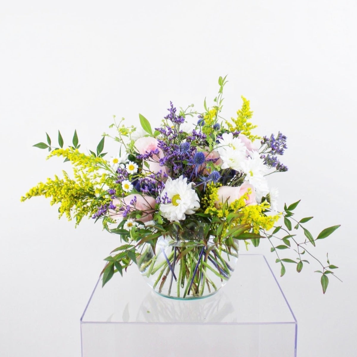 Pecera Violet Style