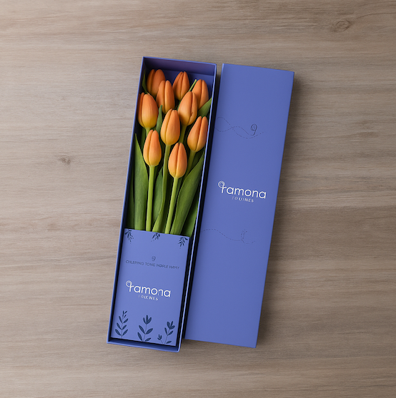 Caja de Tulipanes x 10 - Día de la madre
