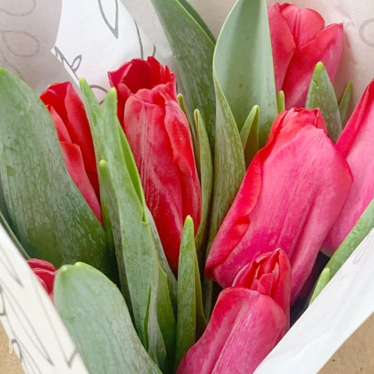 Caja de Tulipanes x 10 - Día de la madre