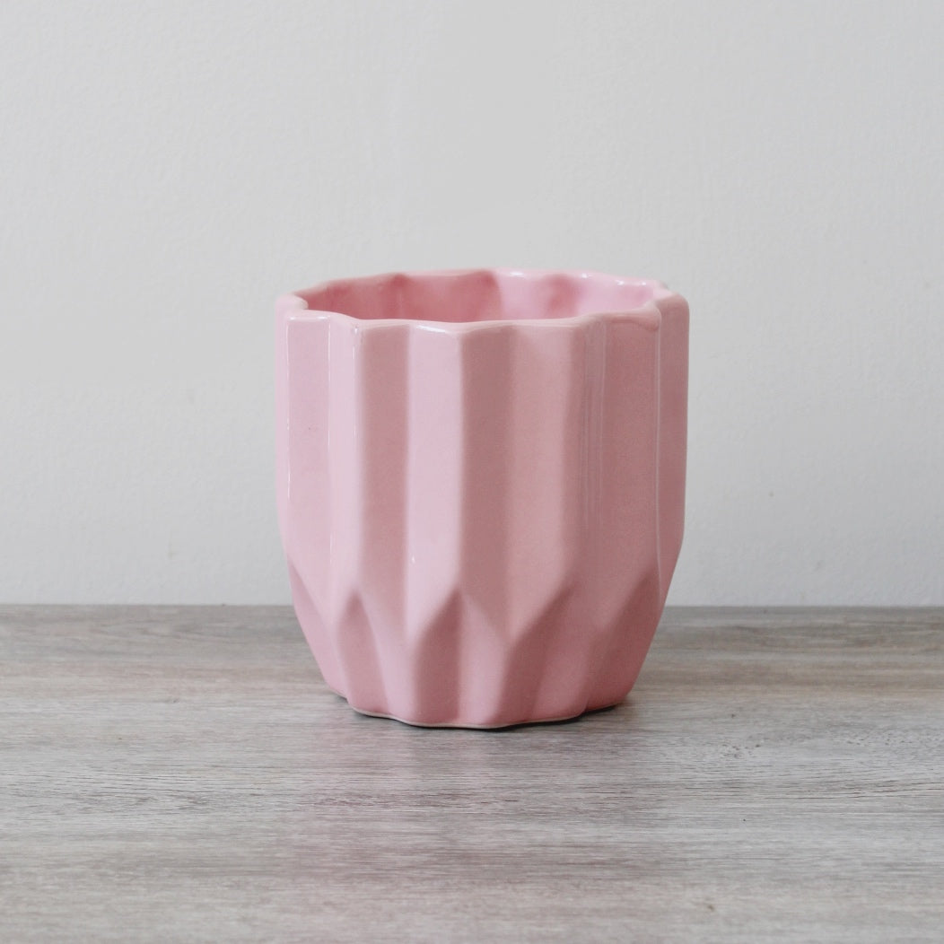 Philly Blush - Ramona Floristería 💐