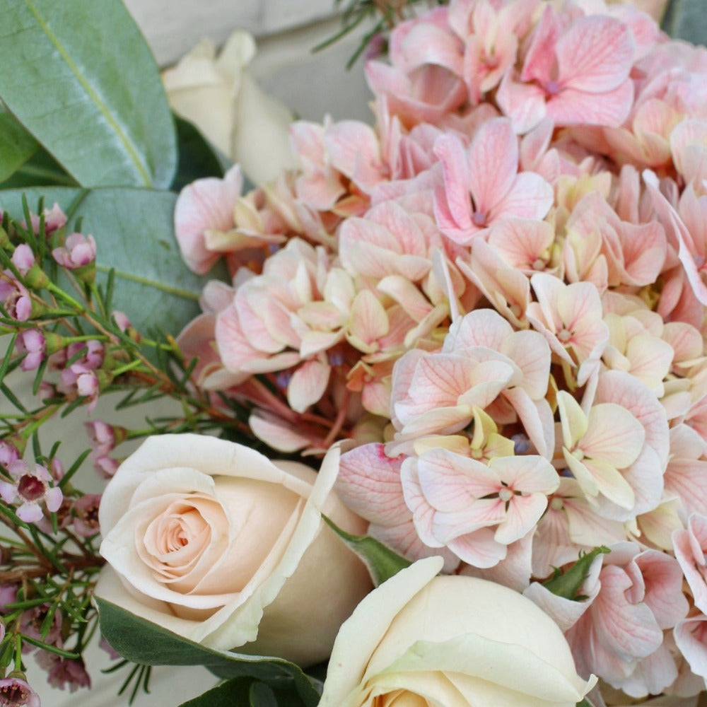 Pecera Pure Pink Style