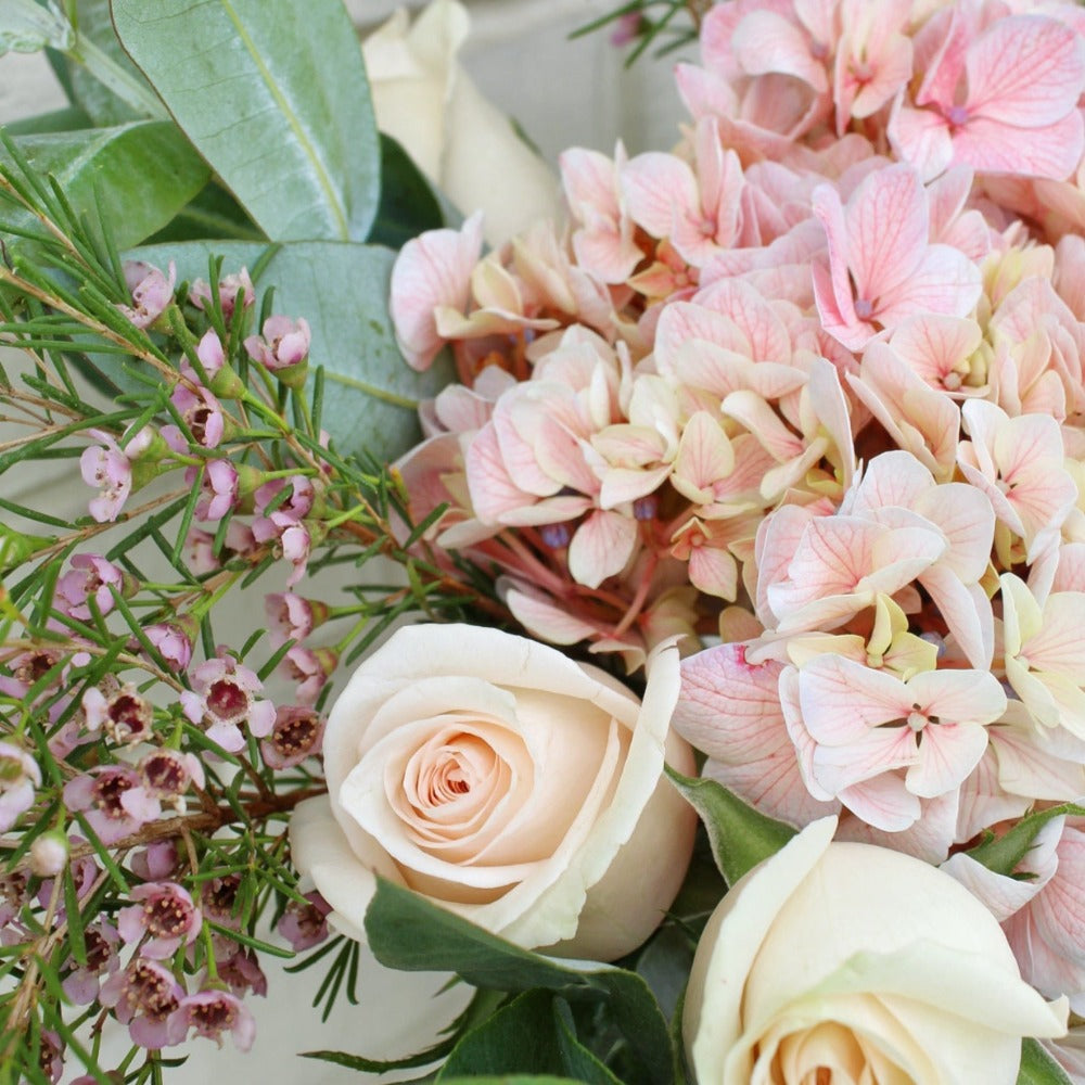 Pecera Pure Pink Style