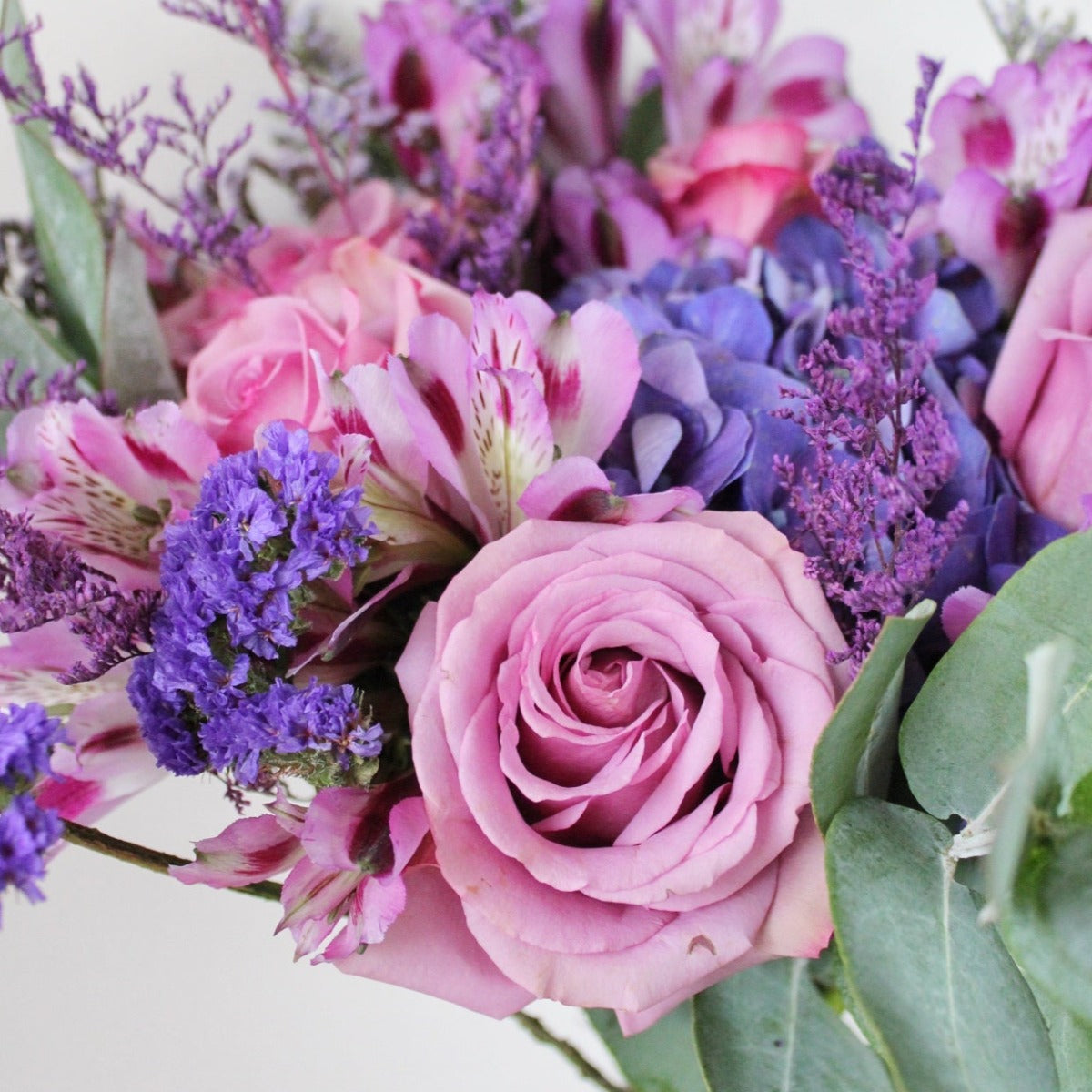 Purple Style - ¡Envío para hoy!