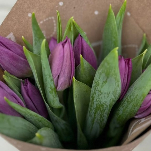 Caja de Tulipanes x 10 - Día de la madre