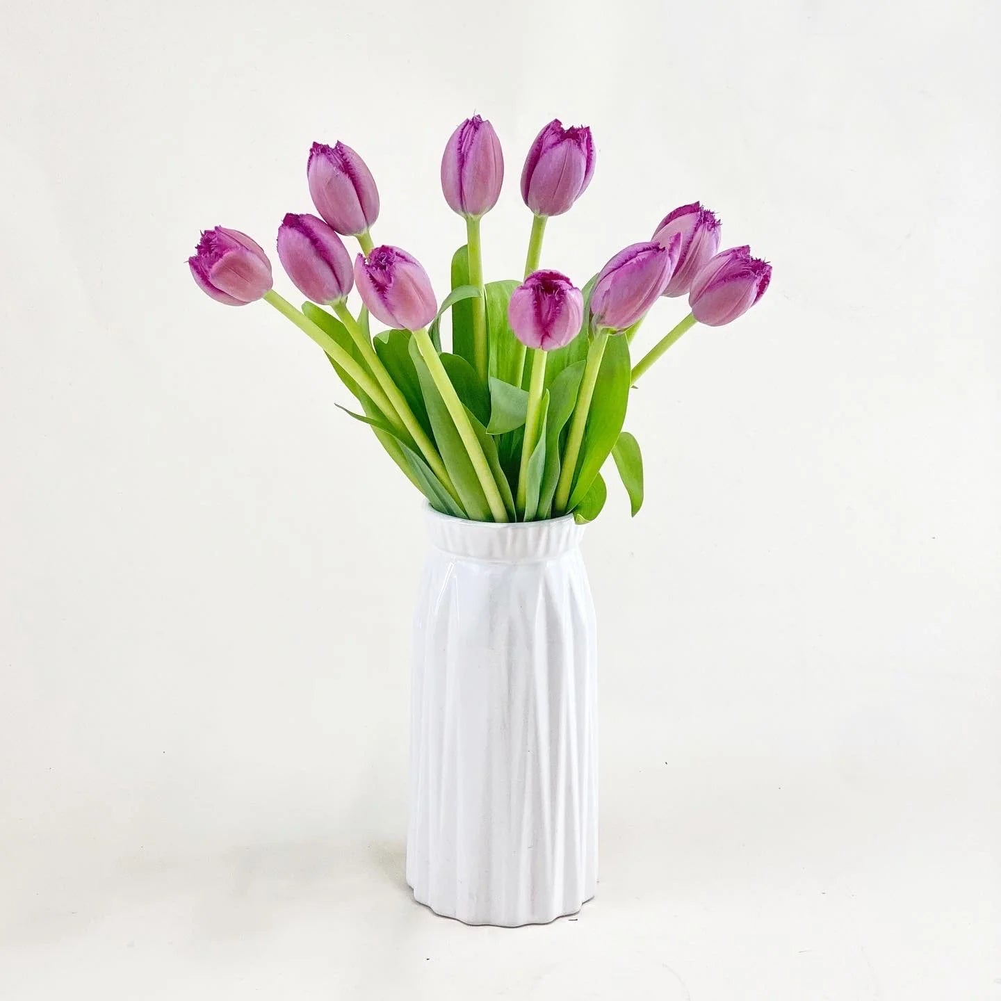 Tulipanes en Florero - DM2026