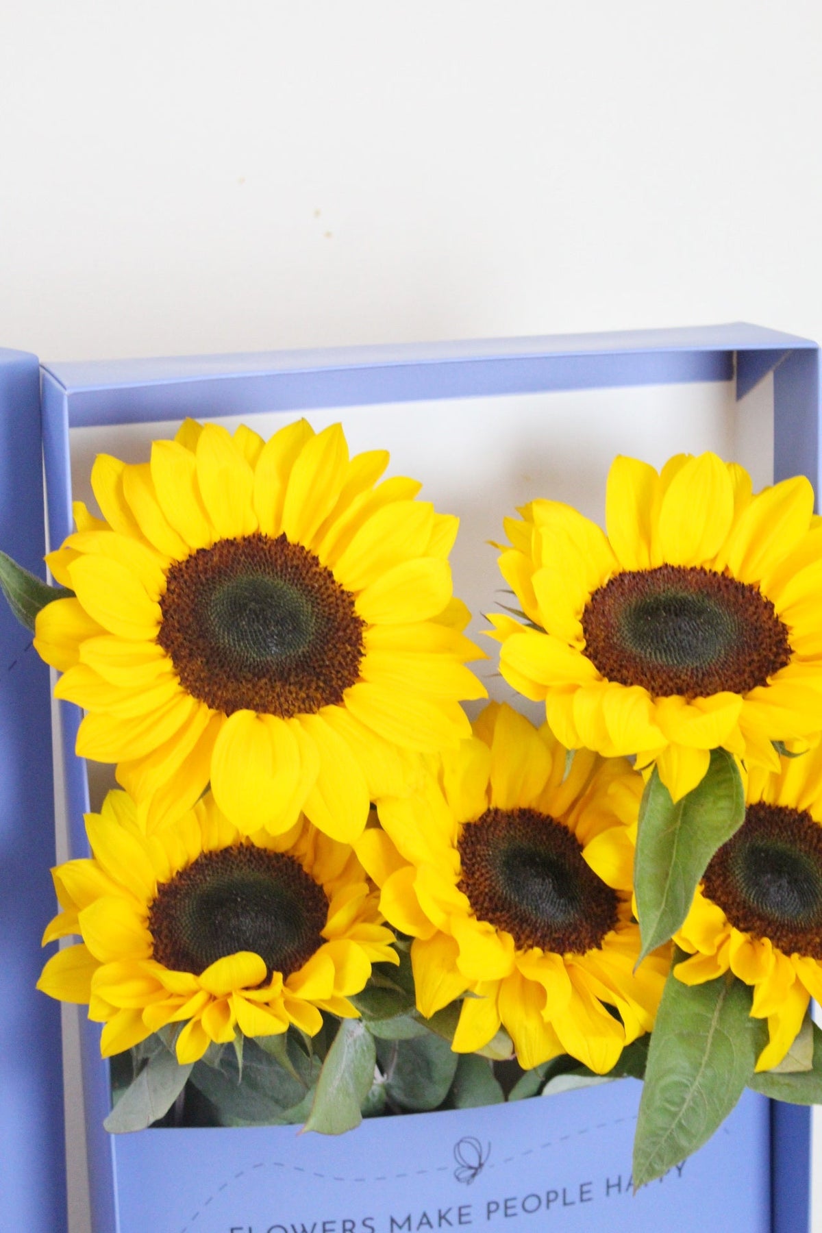 Caja de girasol x 5 - FA - Ramona Floristería 💐