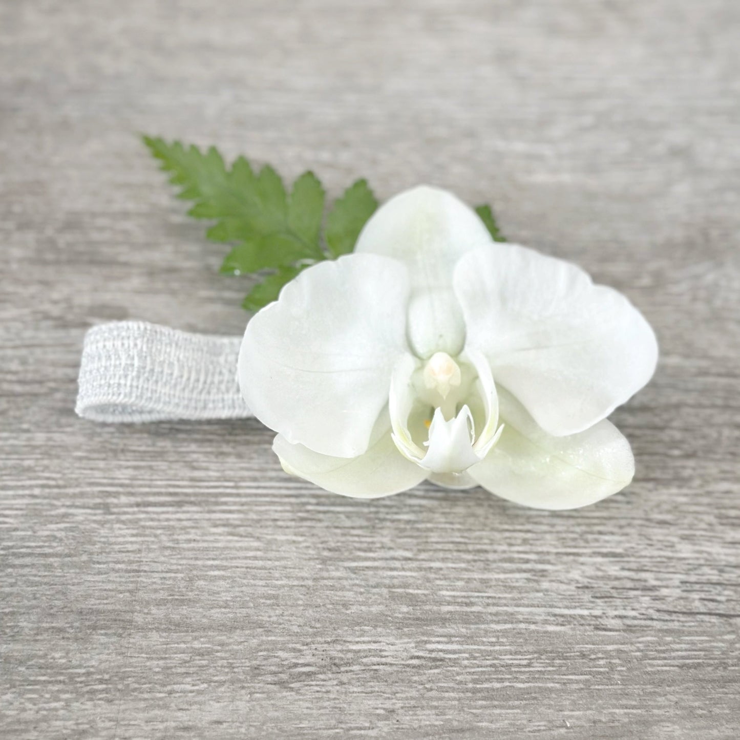 Corsage de mano con Orquídea - Elástico Plateado