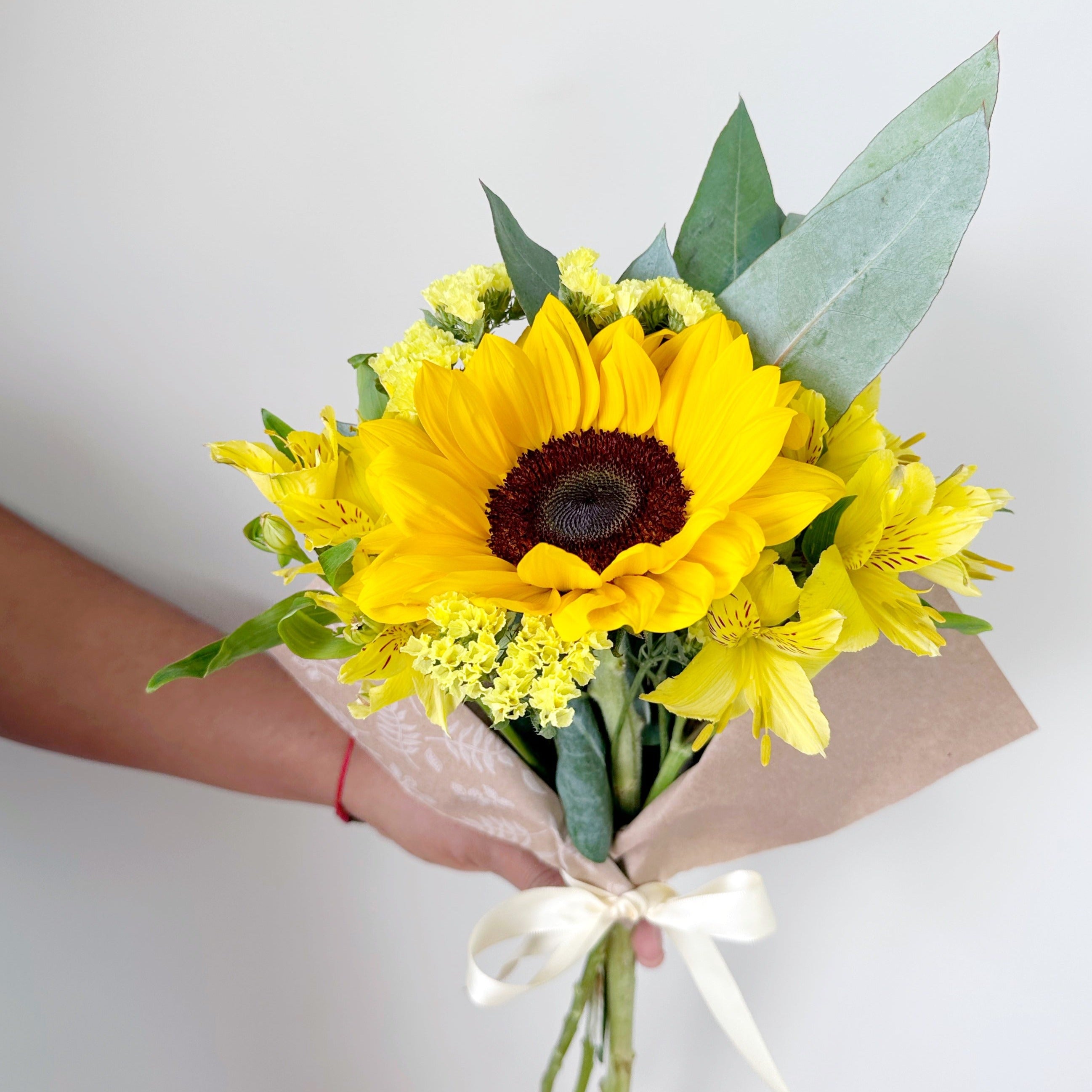 Girasol x5, x 10, x20
