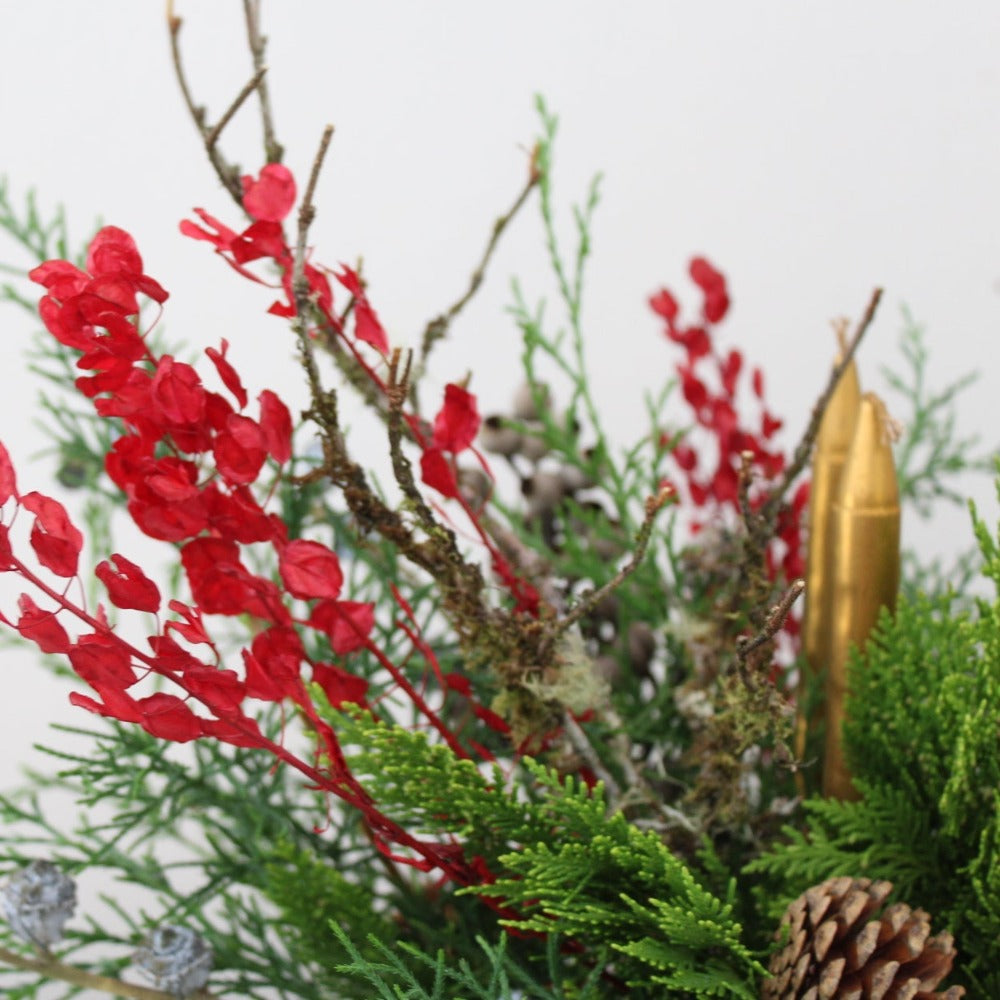 Centro Reno Adviento