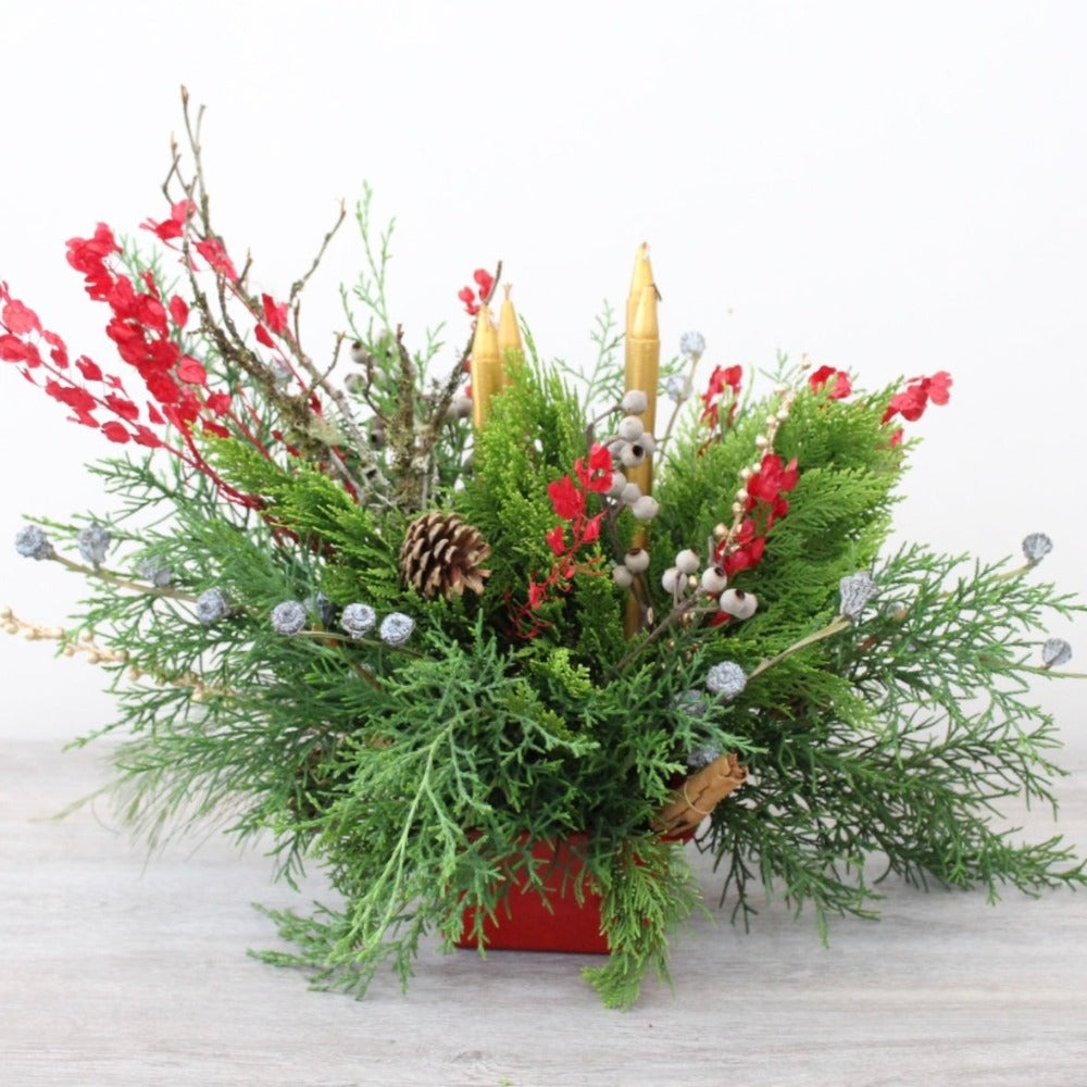 Centro Reno Adviento