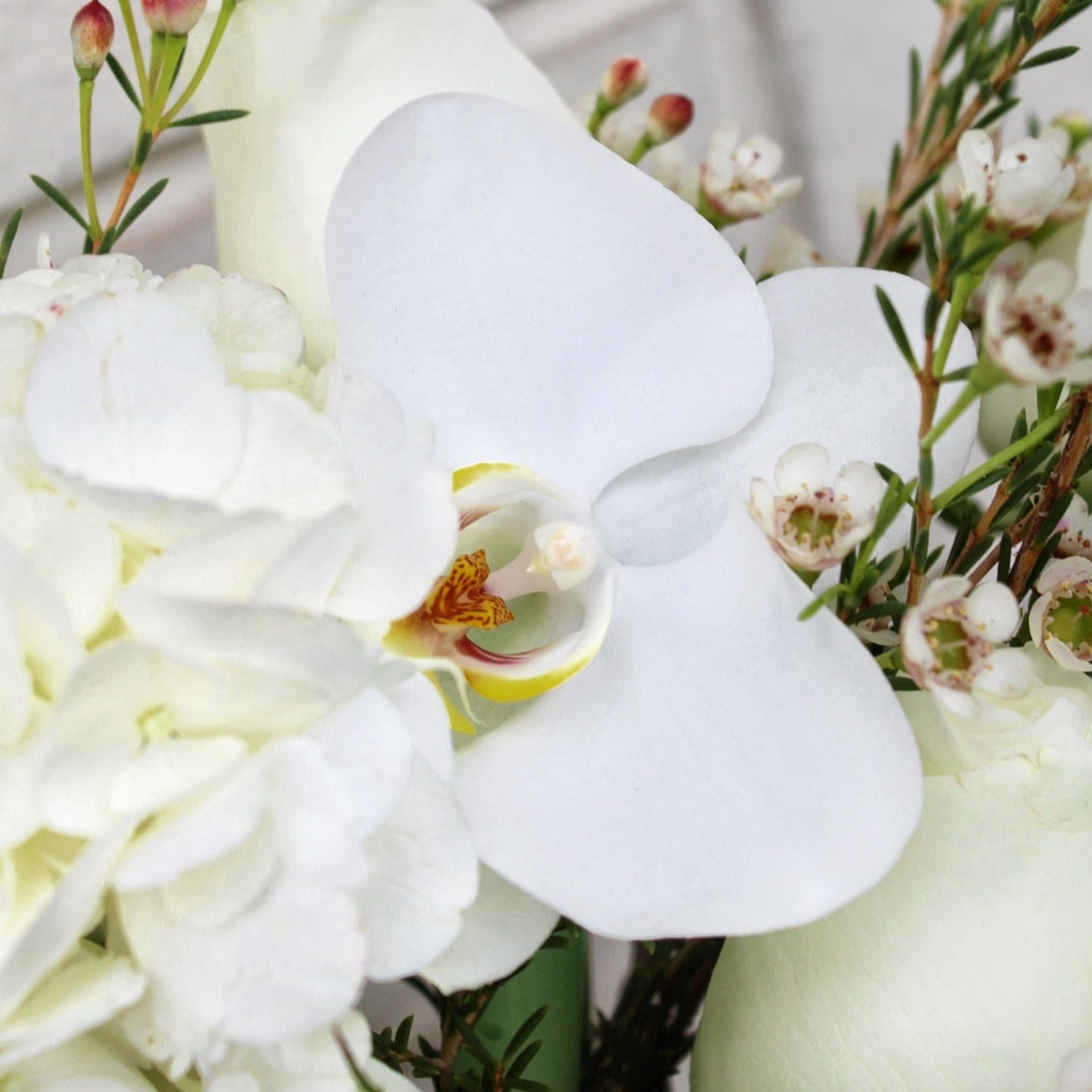 Ramo Elegant - Ramona Floristería 💐