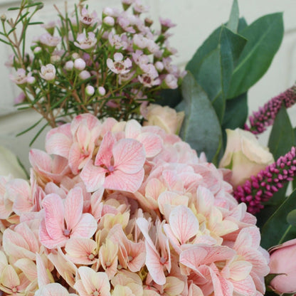Pecera Pure Pink Style