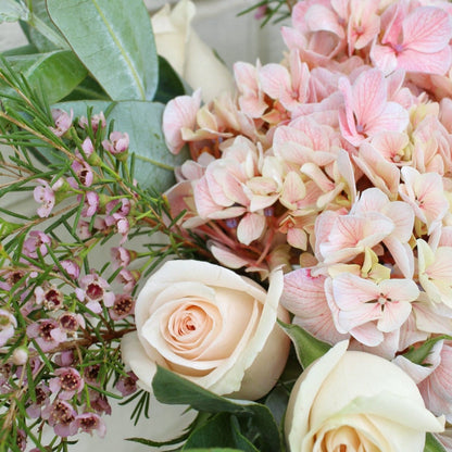 Pecera Pure Pink Style
