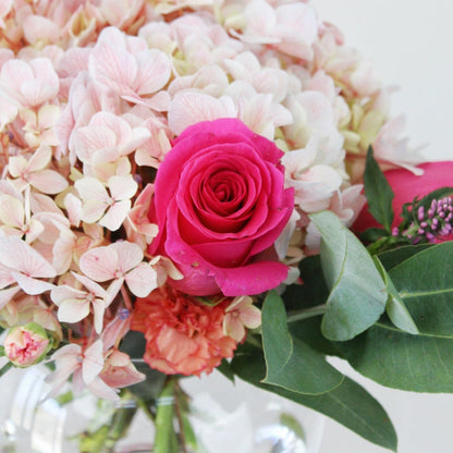 Pecera Pure Pink Style