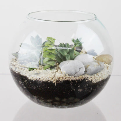 Mini mundo