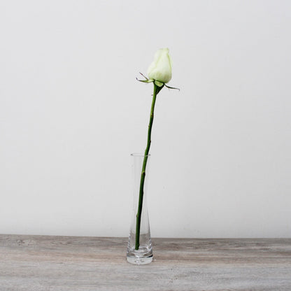 Florero Fino