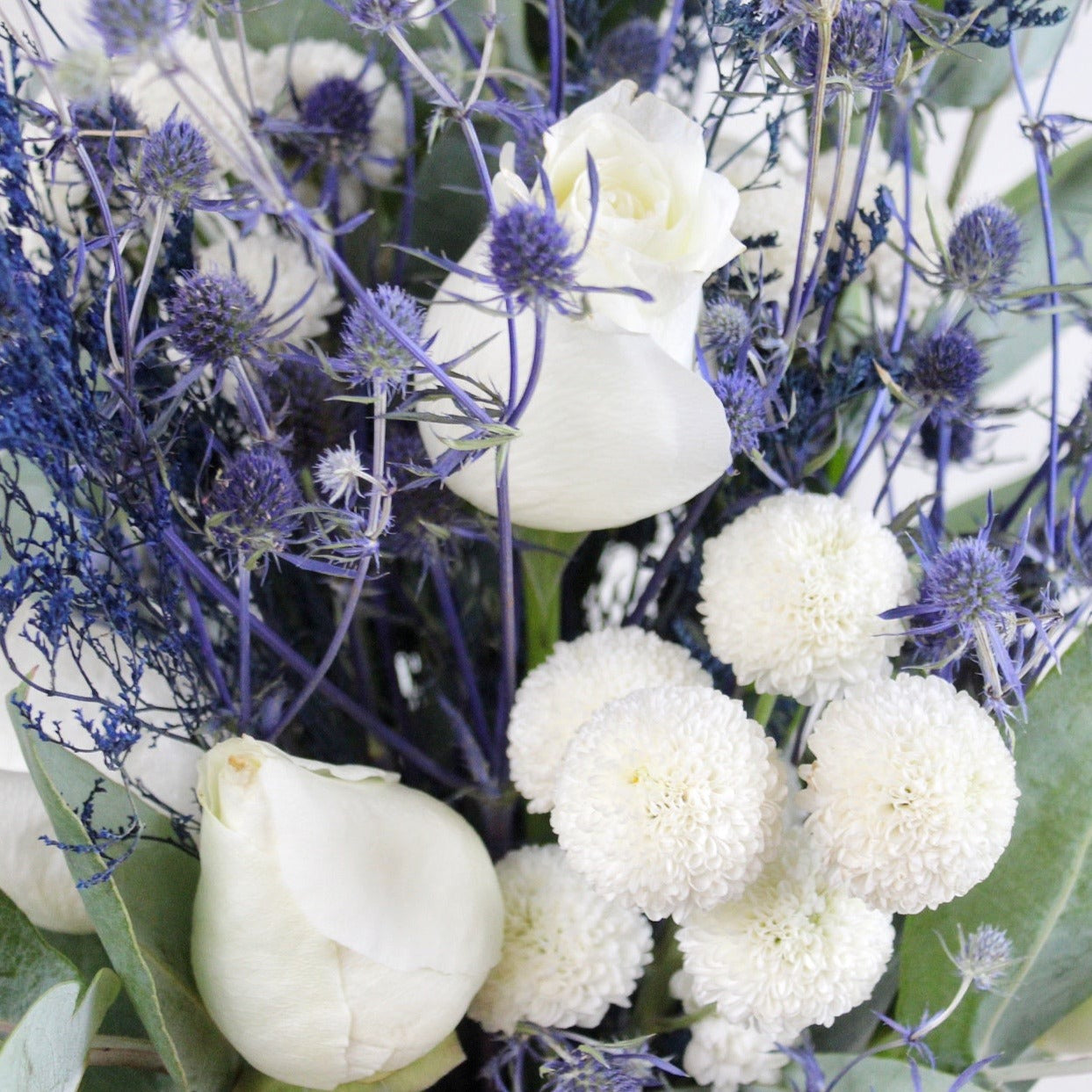 Midnights - ¡Envío para hoy! - Ramona Floristería 💐