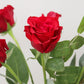 Rosas Rojas en Florero