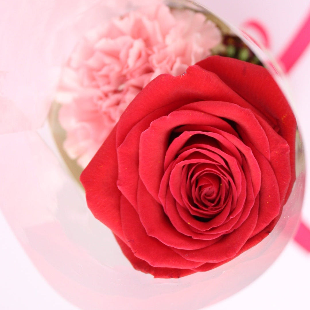 Rosa Love - SV2026 - Ramona Floristería 💐