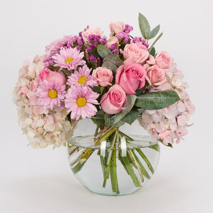 Pecera Pure Pink Style