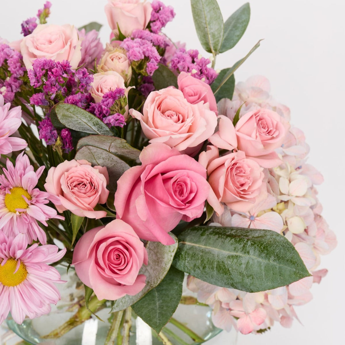 Pecera Pure Pink Style