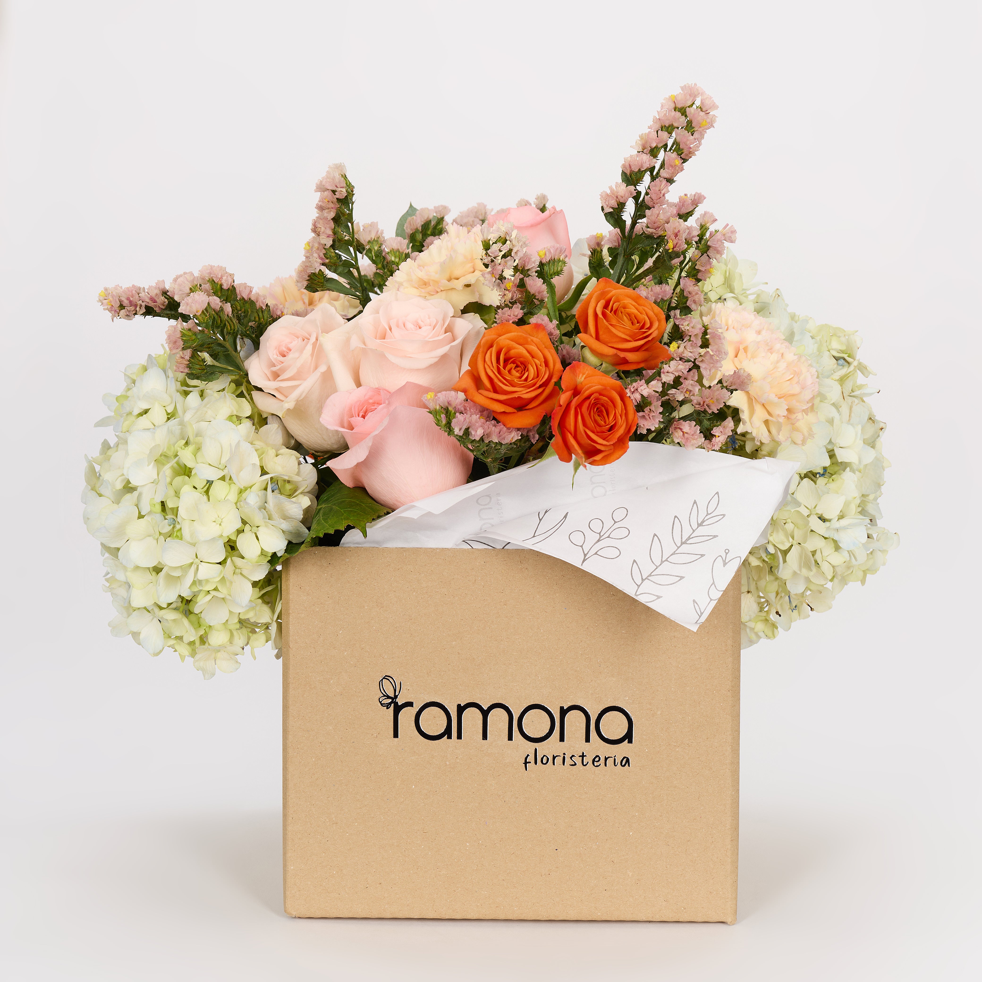 Flores & Plantas