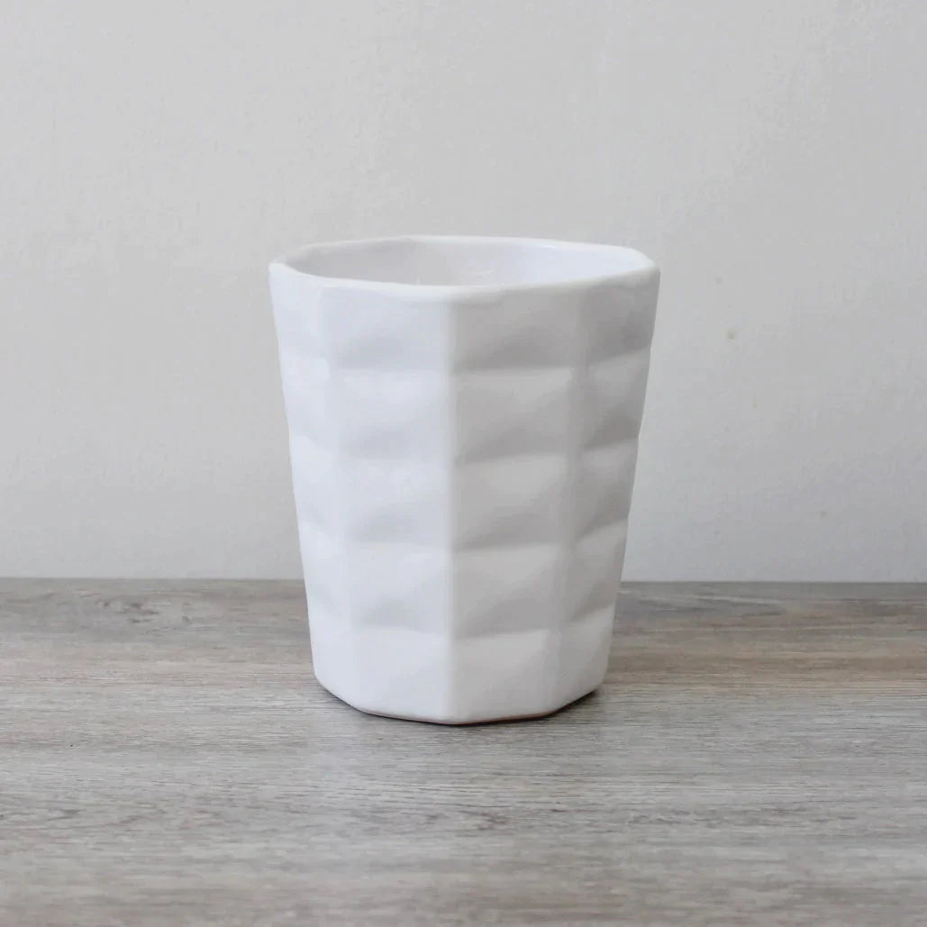 PREVENTA - Philly Bolgheri - Ramona Floristería 💐