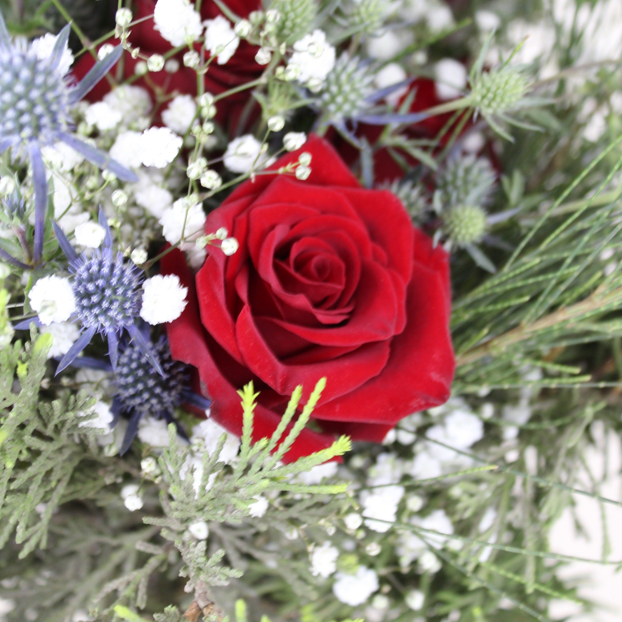 Joy to the world - Ramona Floristería 💐