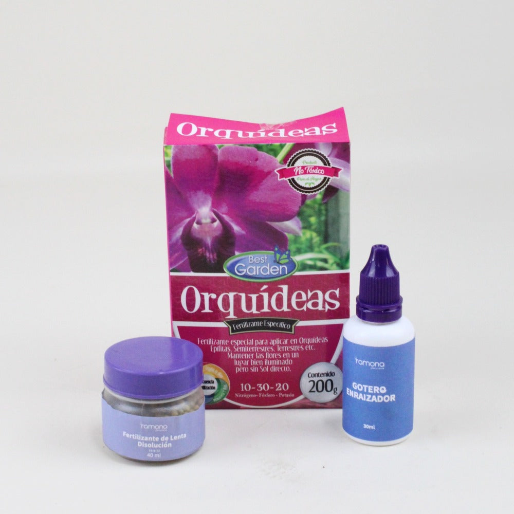 Tripack de Orquídeas - Ramona Floristería 💐