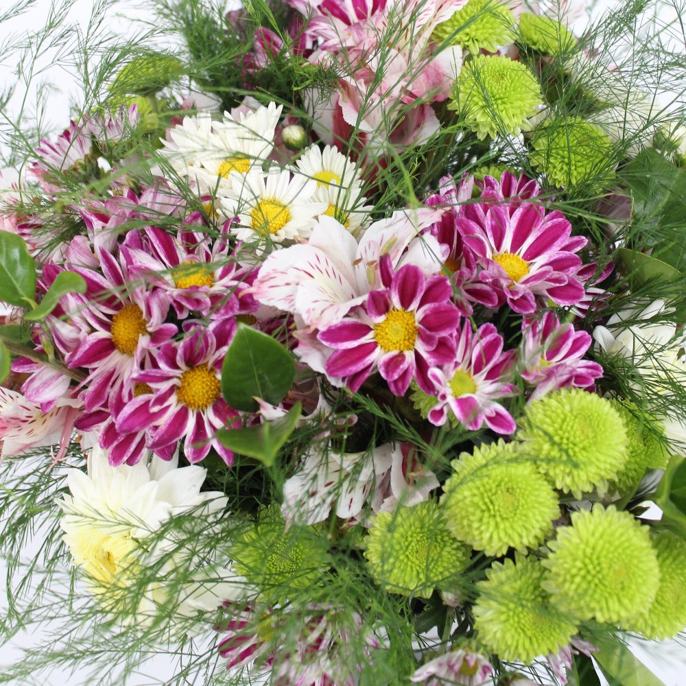 Bucket Garden - Ramona Floristería 💐