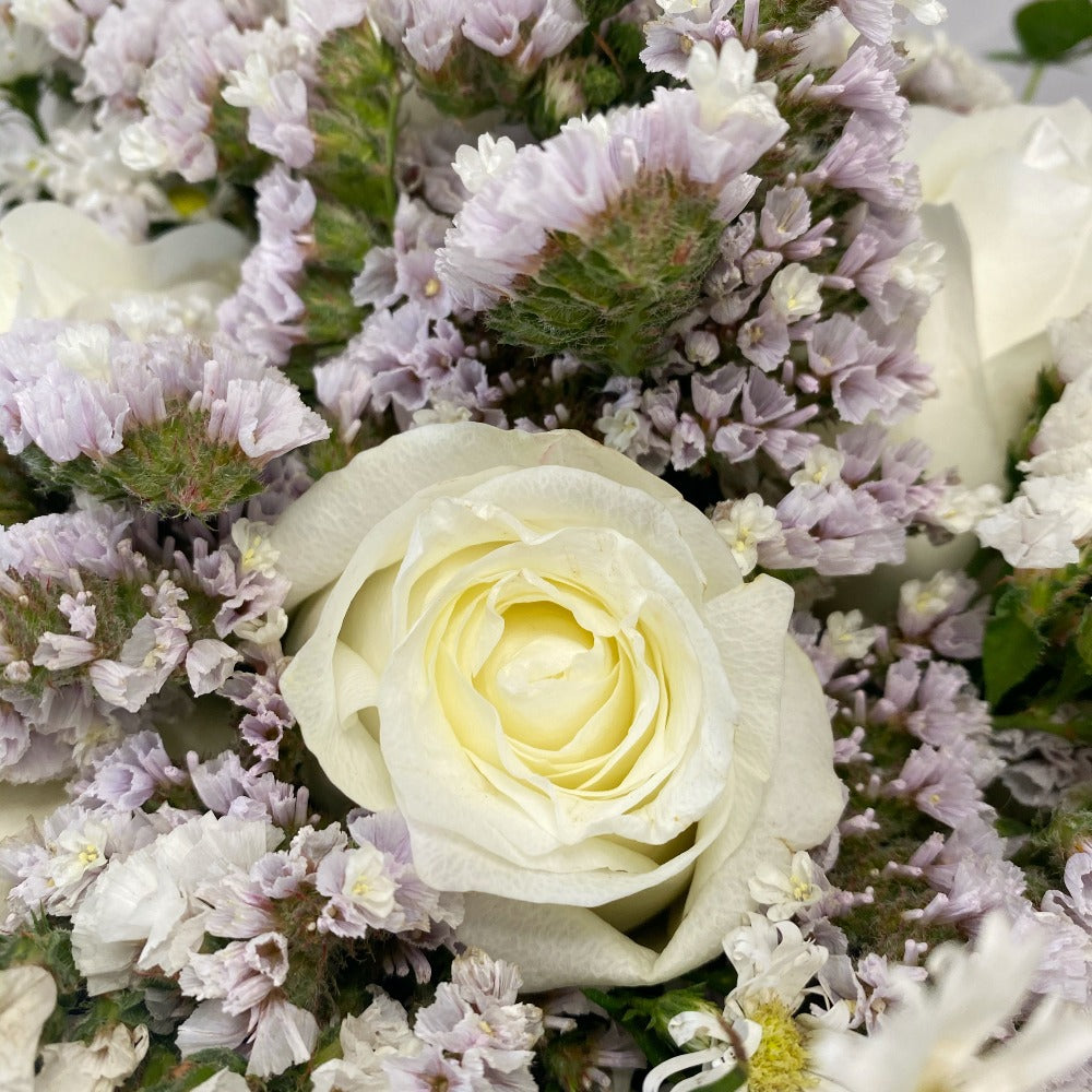 Sweet Magnolia - Ramona Floristería 💐