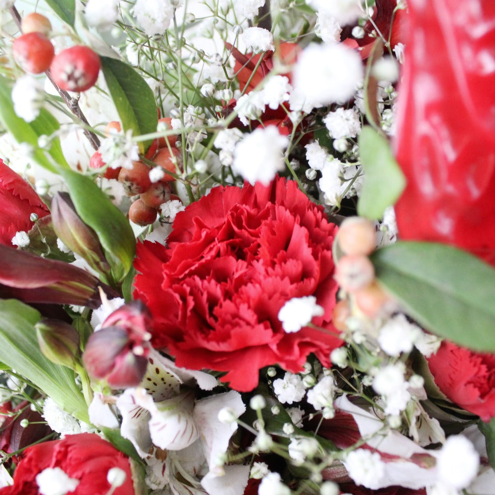 Holly Jolly - Ramona Floristería 💐