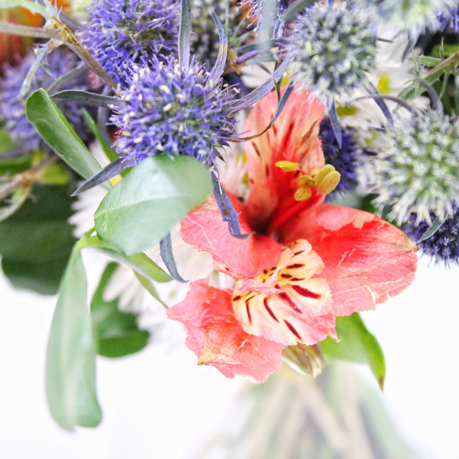 Lets go surfing - Ramona Floristería 💐