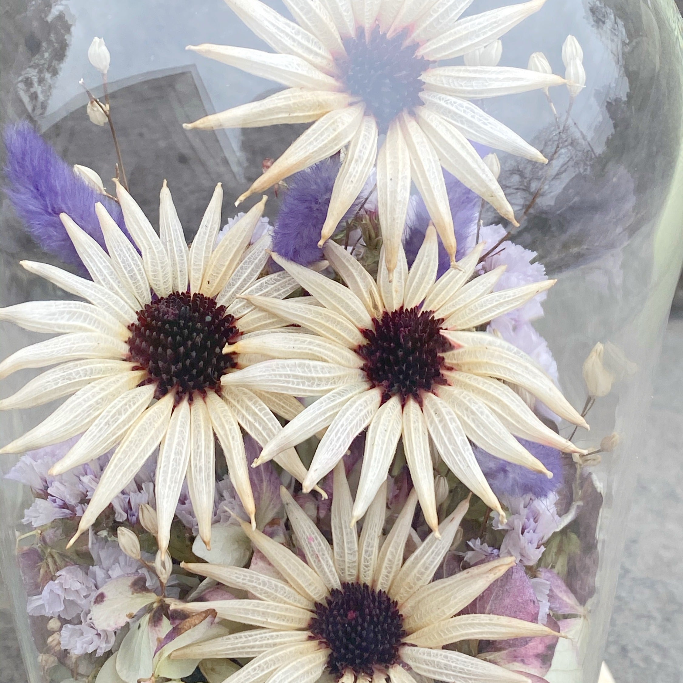 Cúpula Dani - Ramona Floristería 💐