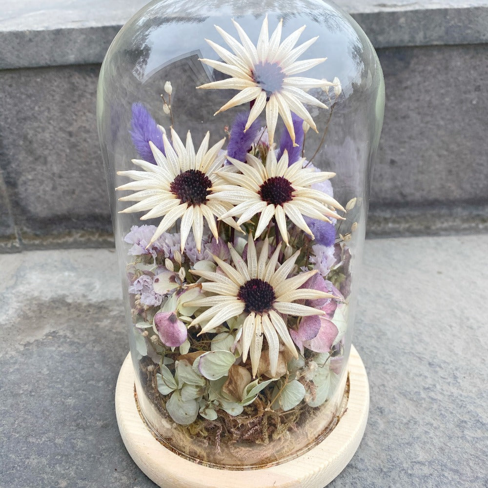 Cúpula Dani - Ramona Floristería 💐