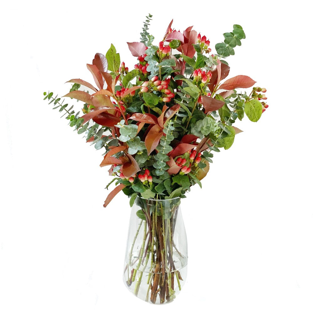 Jingle Bell Rock - Ramona Floristería 💐