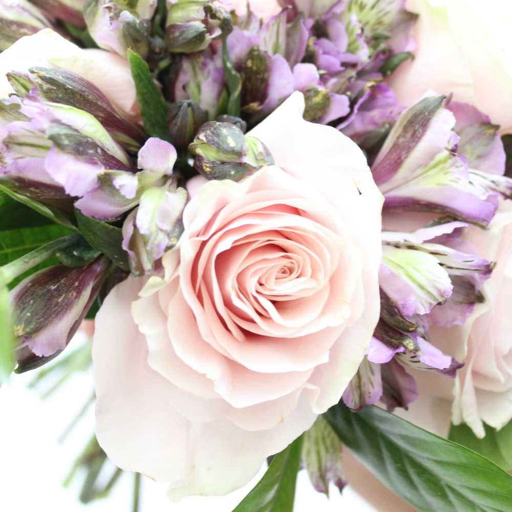 Perfect - Ramona Floristería 💐