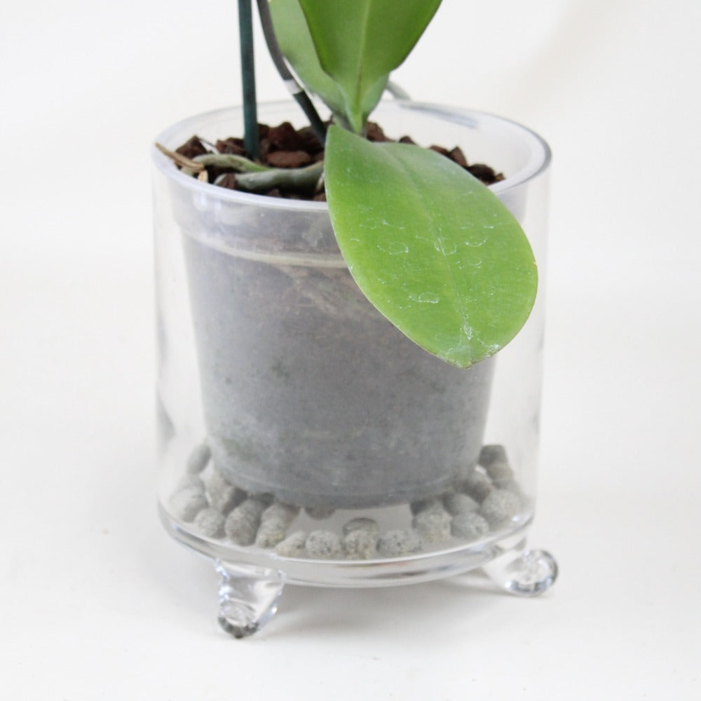 Porta Maceta Crystal - Ramona Floristería 💐
