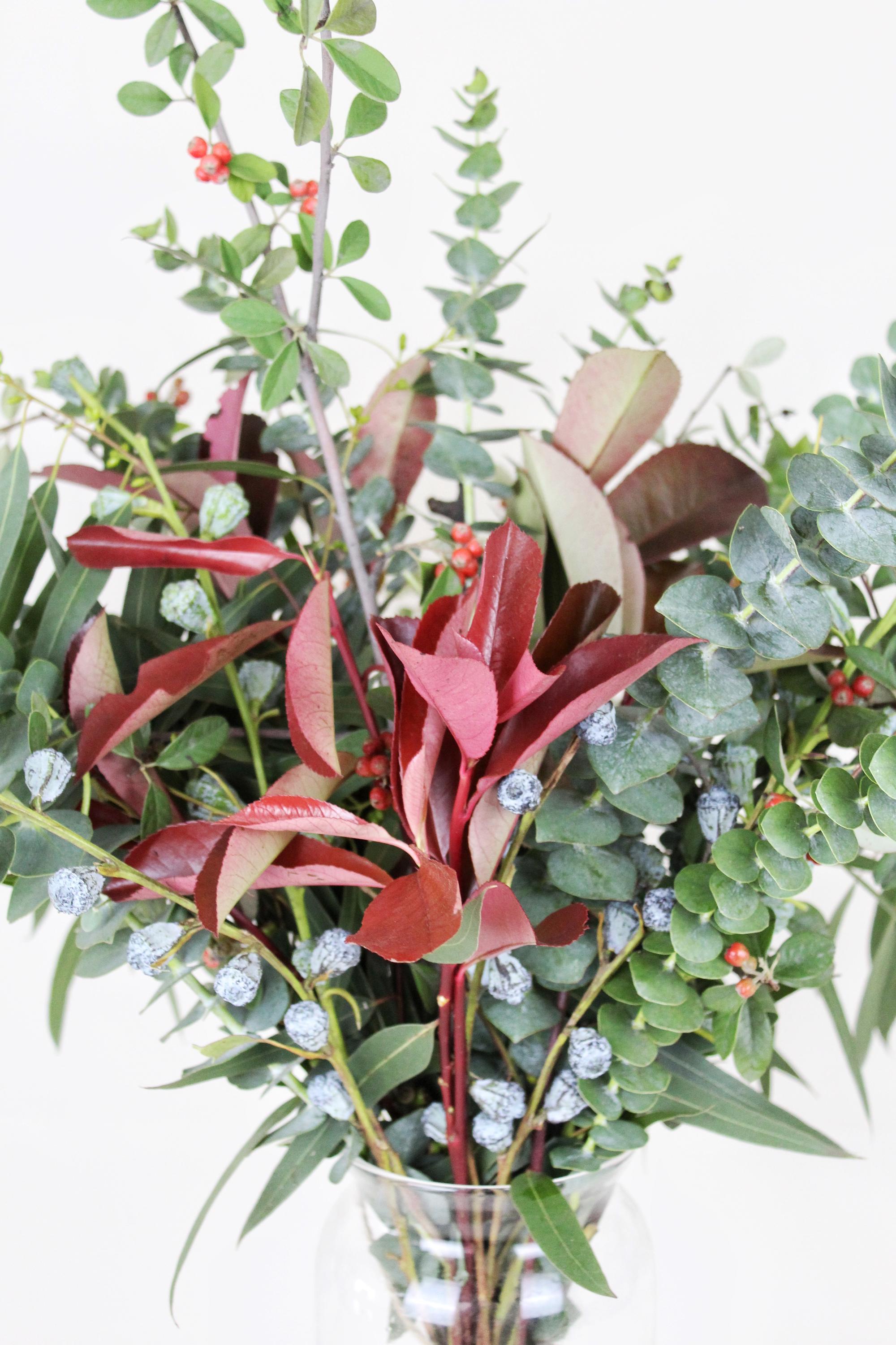 Jingle Bell Rock - Ramona Floristería 💐