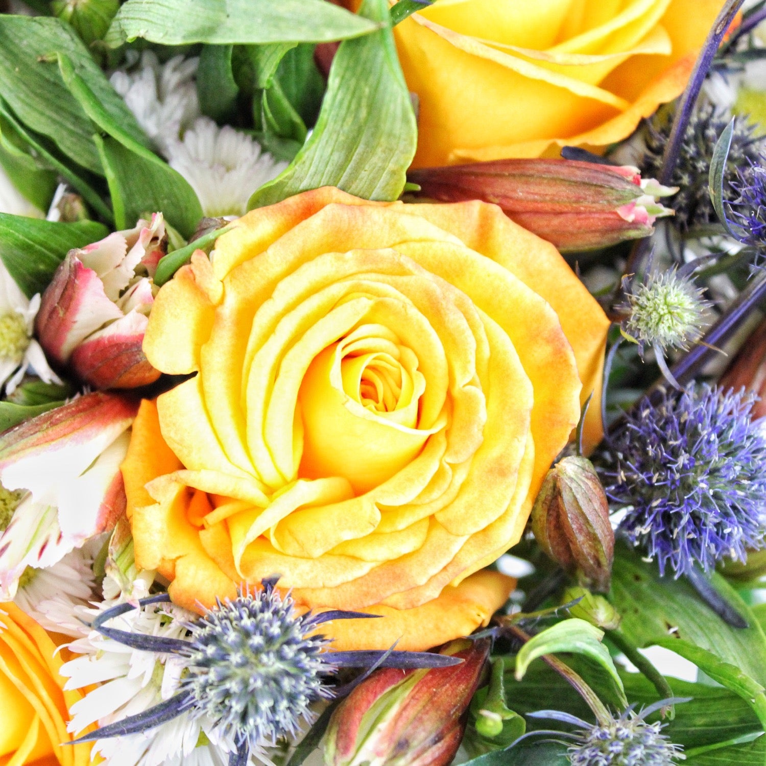 Lets go surfing - Ramona Floristería 💐