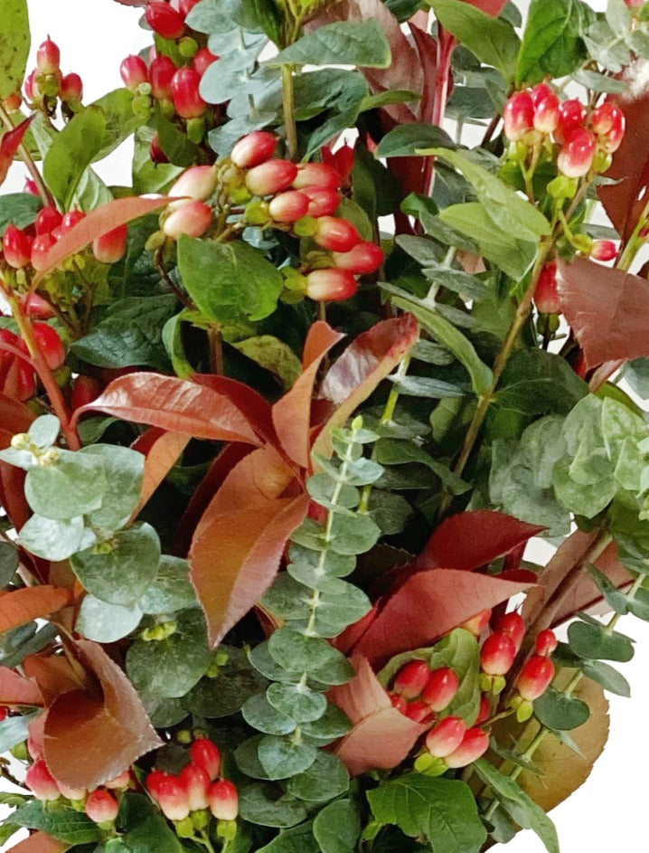 Jingle Bell Rock - Ramona Floristería 💐
