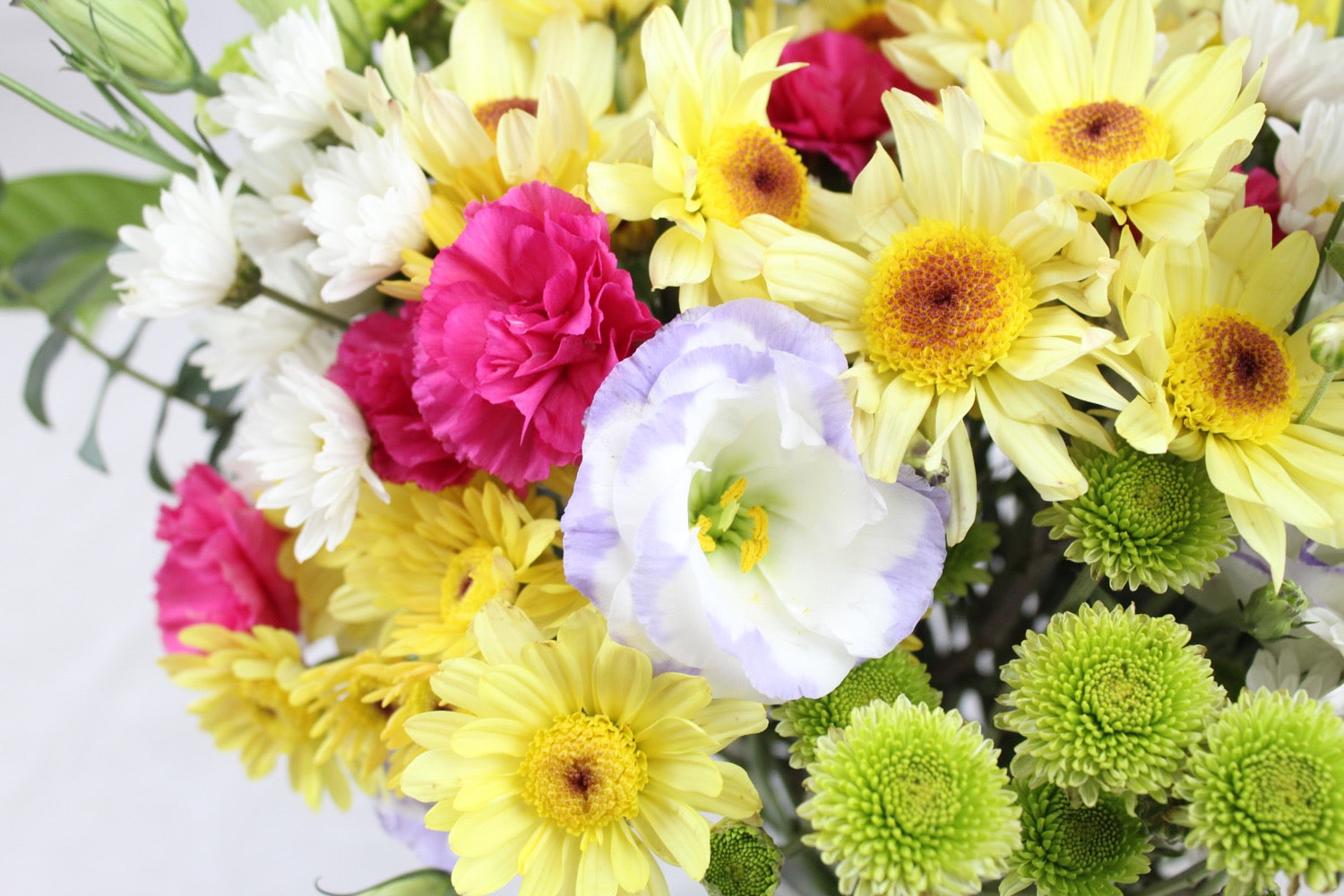 Rainbow - Ramona Floristería 💐