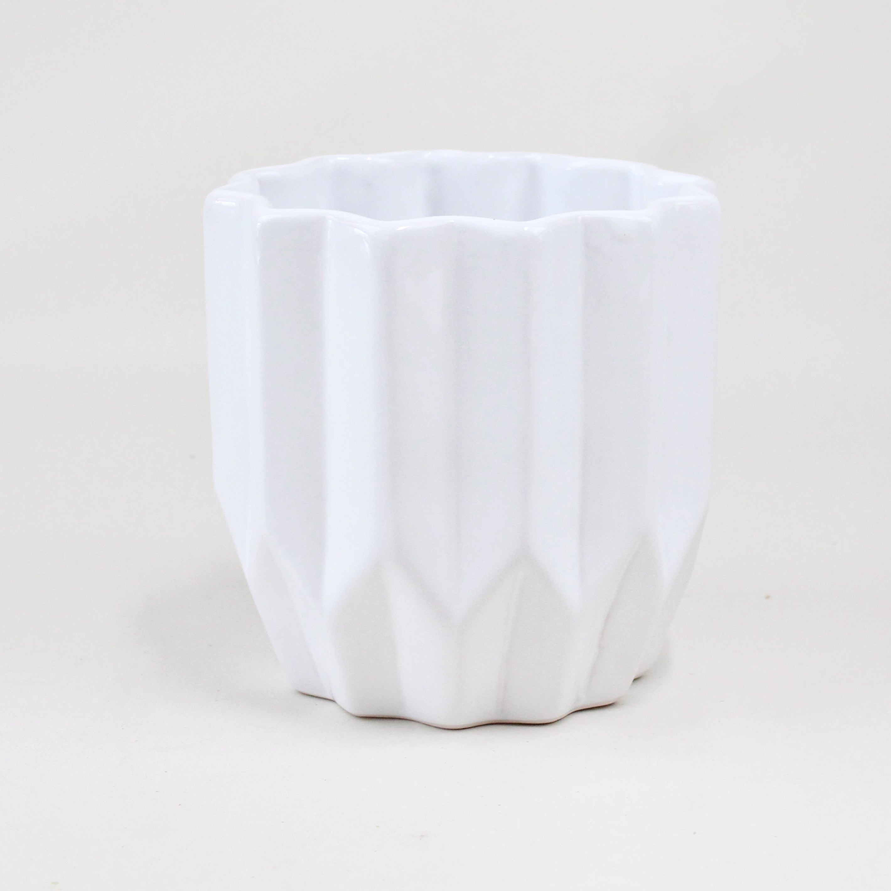 Philly Arlequin - Ramona Floristería 💐