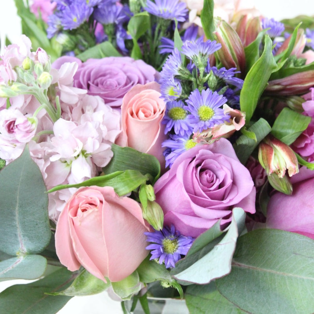 Pink and Purple Style - ¡Envío para hoy!