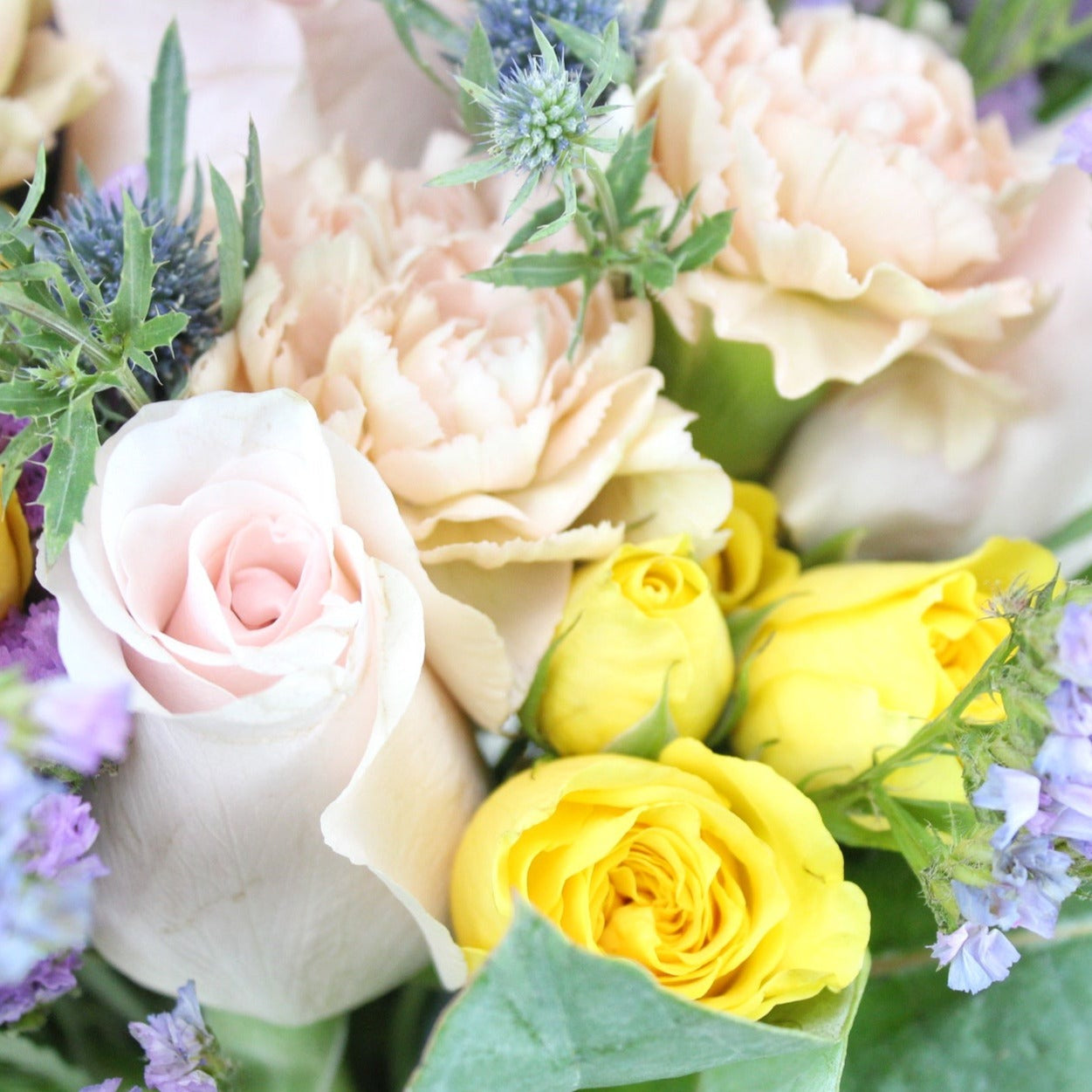 Macarron - Ramona Floristería 💐