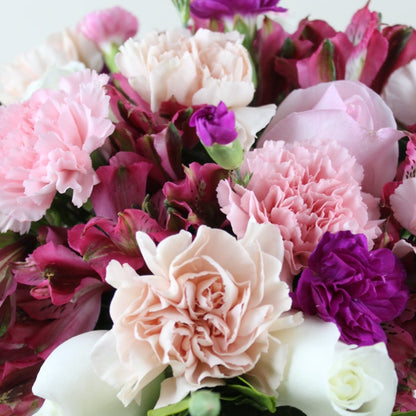 Pink and Purple Style