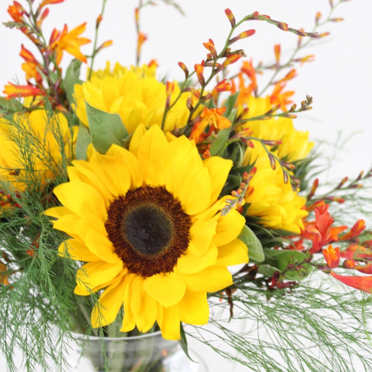Lemon Pie - Ramona Floristería 💐